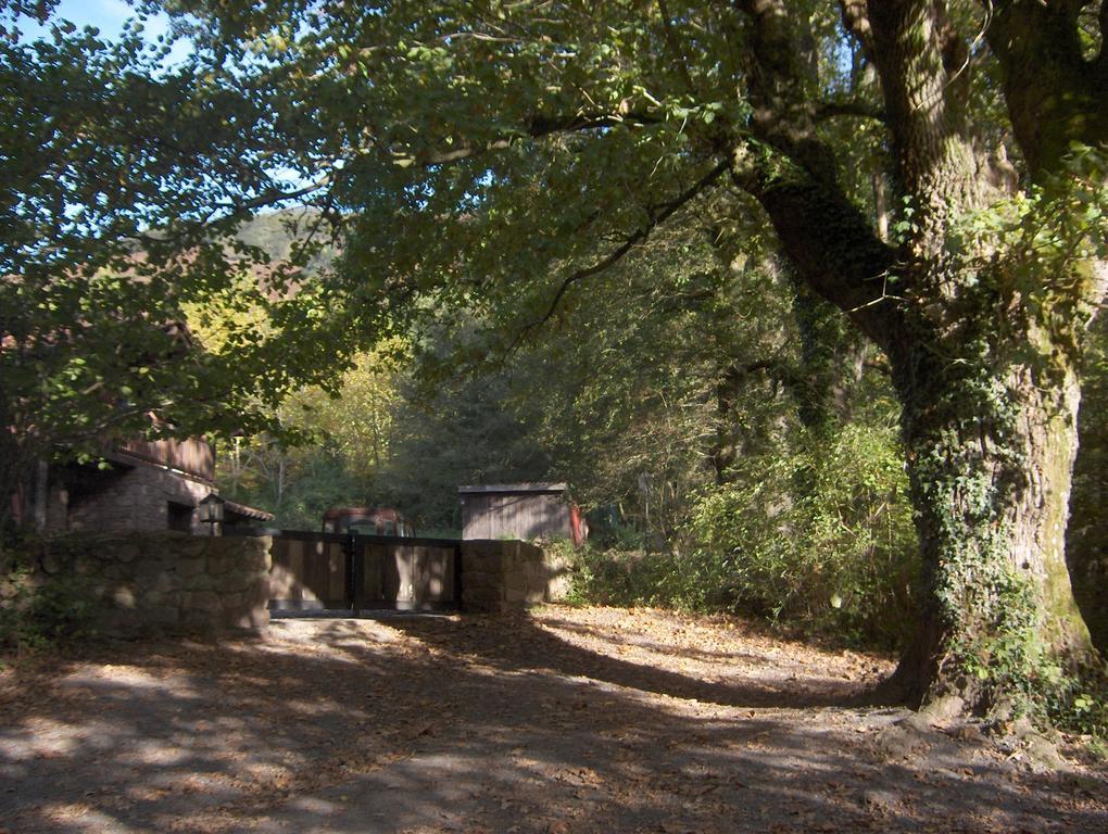 Hostal Itzalargikoborda Elizondo Bagian luar foto